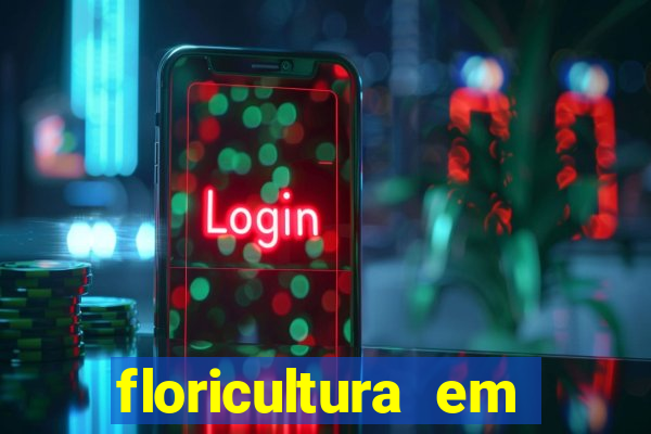 floricultura em franca sp